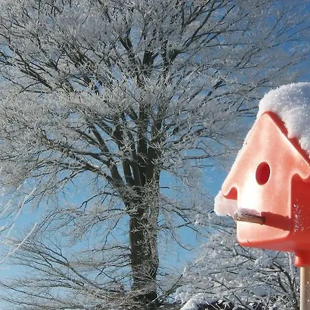 Le Son Du Silence, Gite Avec Sauna Holiday home Waimes
