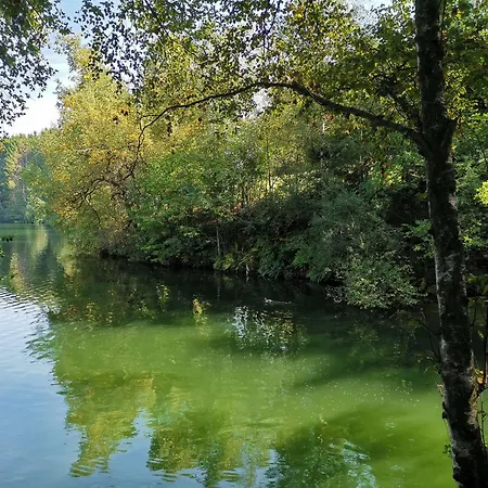Le Son Du Silence, Gite Avec Sauna * Waimes